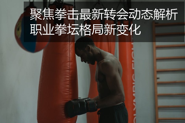 聚焦拳击最新转会动态解析职业拳坛格局新变化